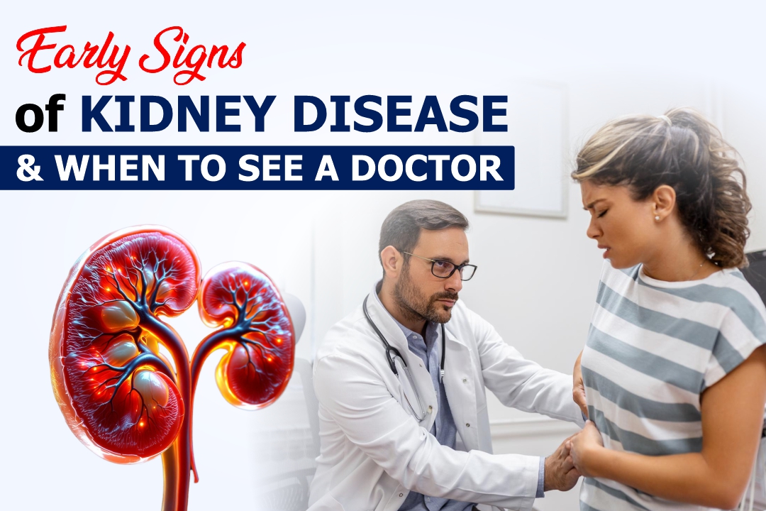 Early Warning Signs of Kidney Disease & When to See a Doctor